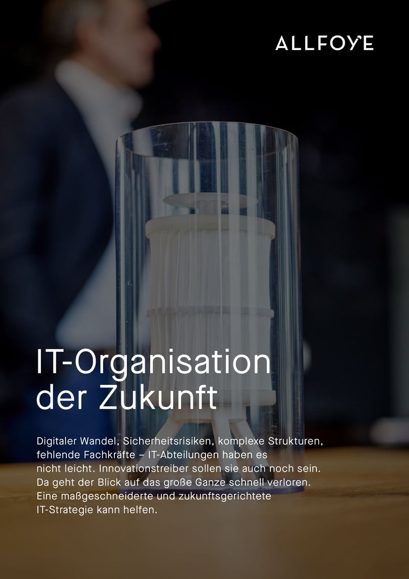 IT-Organisation der Zukunft Titelbild