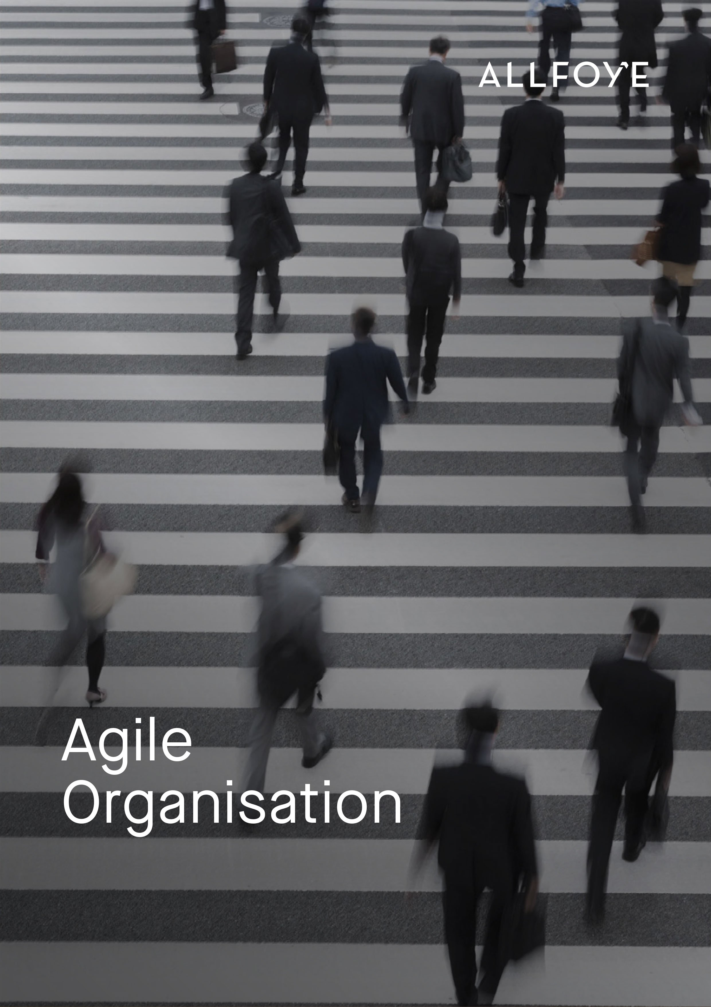 Agile Organisation Titelbild
