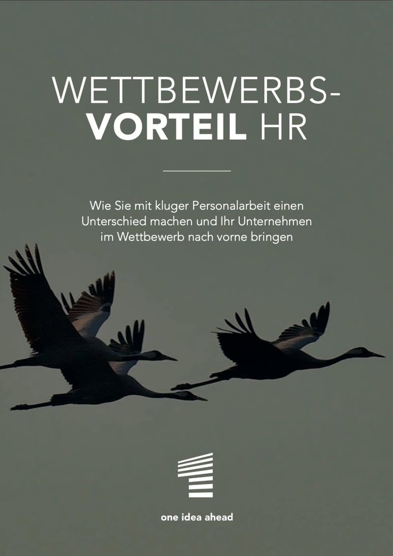 Ratgeber: Wettbewerbsvorteil HR? cover
